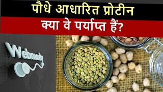 क्या वनस्पति-आधारित प्रोटीन पर्याप्त हैं? | वनस्पति-आधारित और पशु प्रोटीन की तुलना