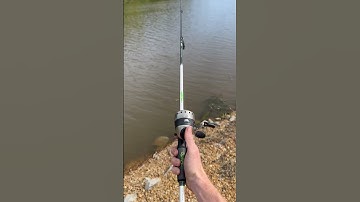 Zebco 33 on a $70 pole? #fishing