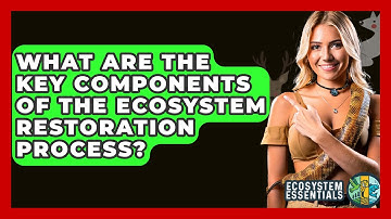 What Are the Key Components of the Ecosystem Restoration Process? - Ecosystem Essentials