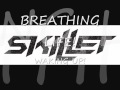 Skillet  comatose lyrics