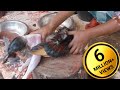 Desi chicken cutting skills