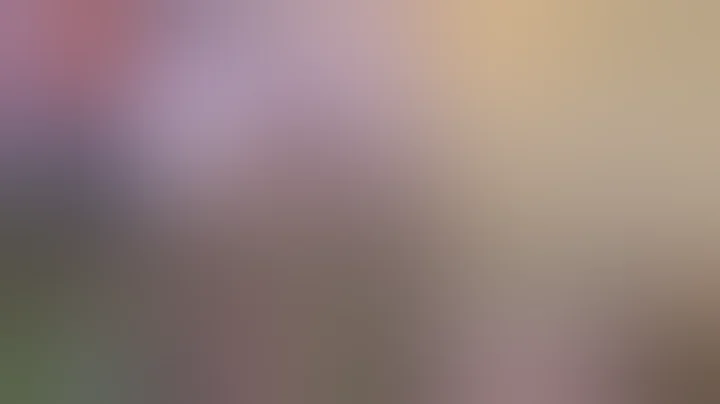 Saturday Lotto Results - Draw 4633 - 13 December 2025