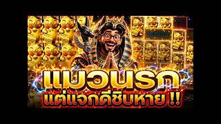 เฮียริช อย่าทำกูเด้อX.1   ➤ แมวpg 2026 นรกจริงหรอ 55555 🔥ปั่นสล็อต