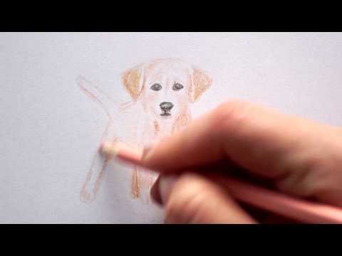 Video: Wie Zeichnet Man Einen Schönen Welpen