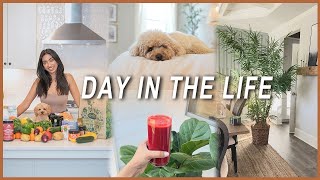 Days in life | Home thrift haul, healthy grocery haul,Online shopping and planning garden projects. by Shikha Singh 790 views 1 year ago 24 minutes