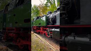 Choo, Choo! 🚂 #Steamtrain #Train #Dampflok #Lokomotive #Vintage #Dampflokomotive