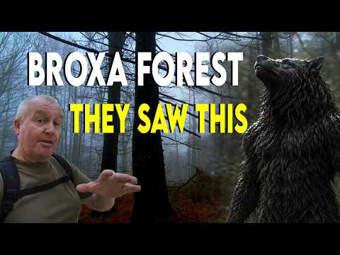 A Dogman, a Werewolf... or Something Unnamed? | The Broxa Forest Encounter