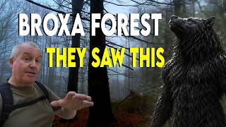 A Dogman, a Werewolf... or Something Unnamed? | The Broxa Forest Encounter
