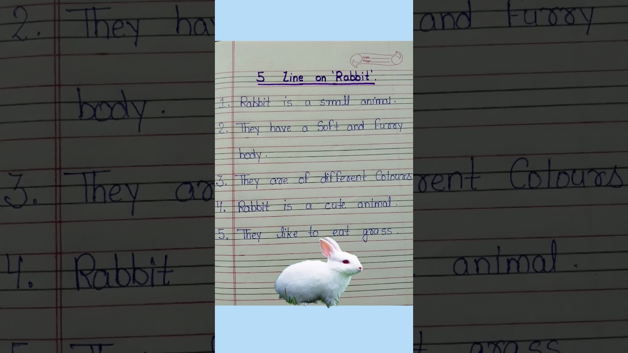 5 Line On Rabbit/ Few Line On Rabbit/ Easy Essay On Rabbit 
