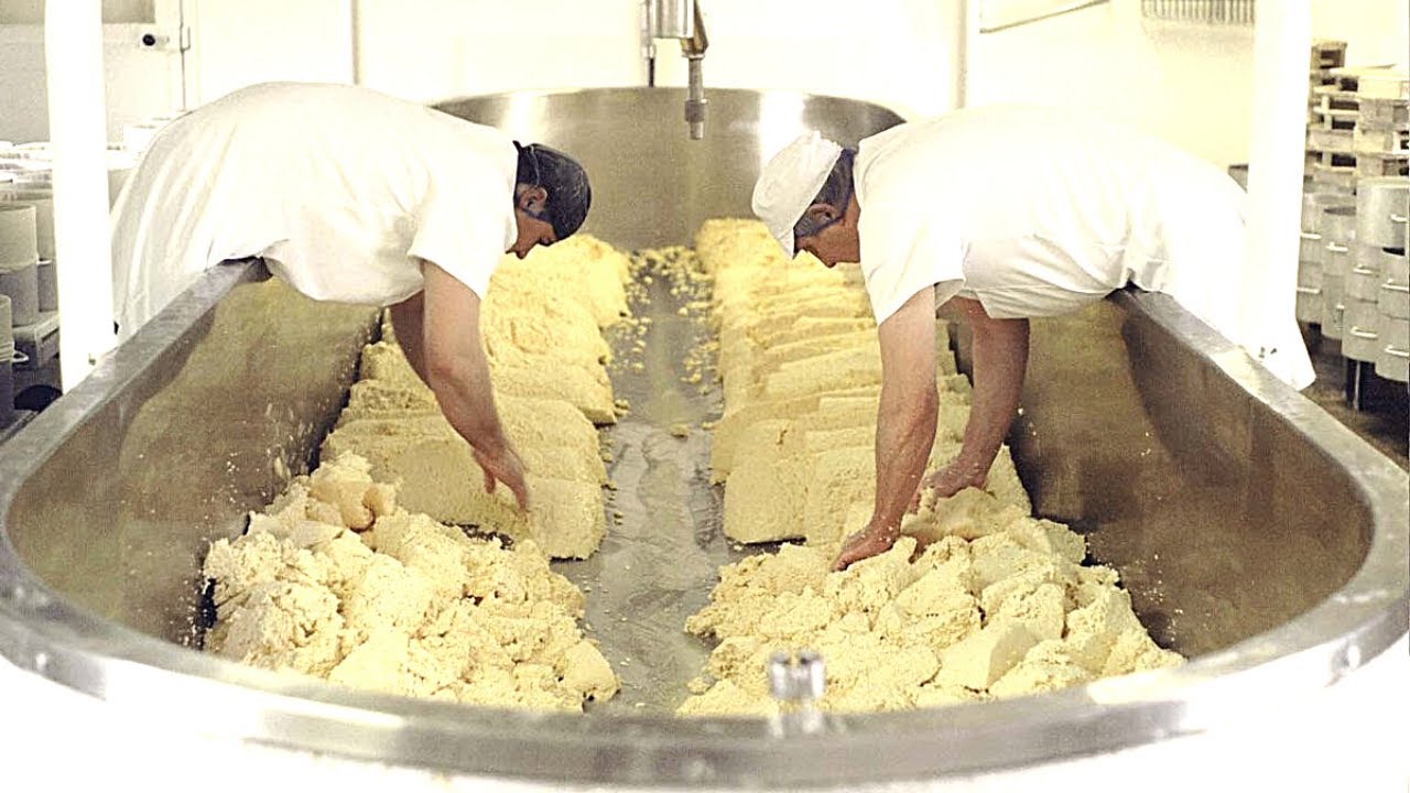 How They Produced 1Billion Pounds Of Cheese Per Year Inside Factory With 180 Years Of Expertise