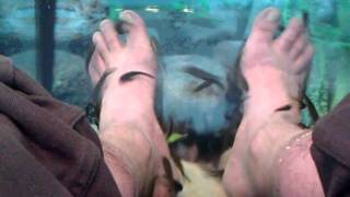 Turkish Feet Eating Fishes