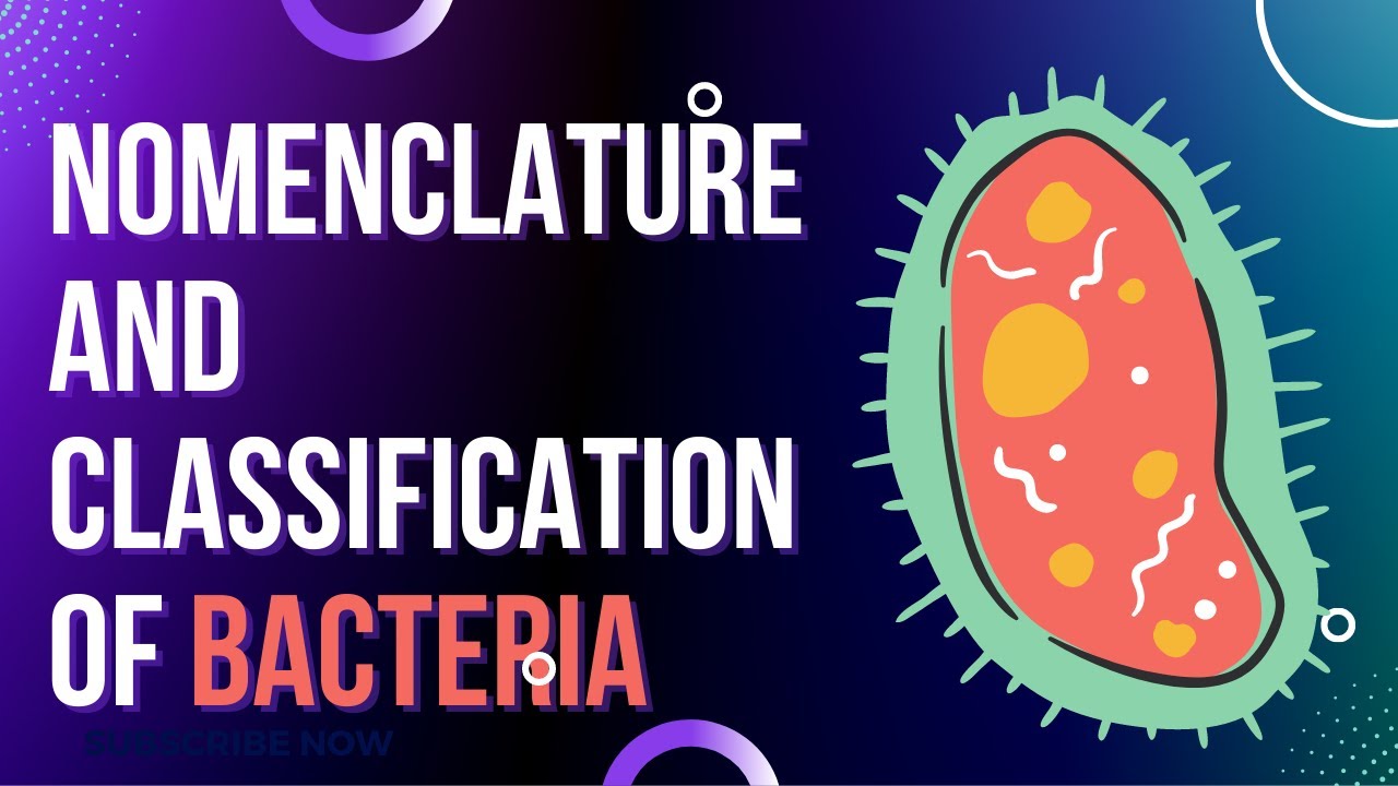 What is Bacteria in Urdu Structure of Bacteria Bacterial