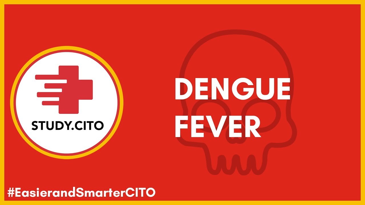 Dengue - Warning Signs - CITO Free Class (Part 3) - YouTube