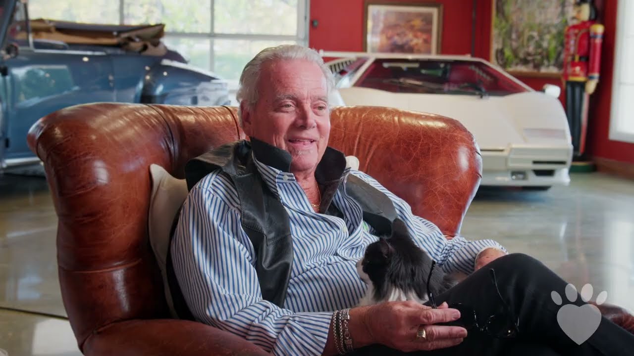 Romeo’s Journey: From Pain to Love. How IndyHumane Found His Perfect Home!