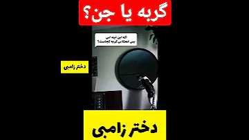 این گربه تسخیر شده جن زده فیلم ترسناک جدید تئوری انیمیشن دارک وب دختر زامبی Shorts 