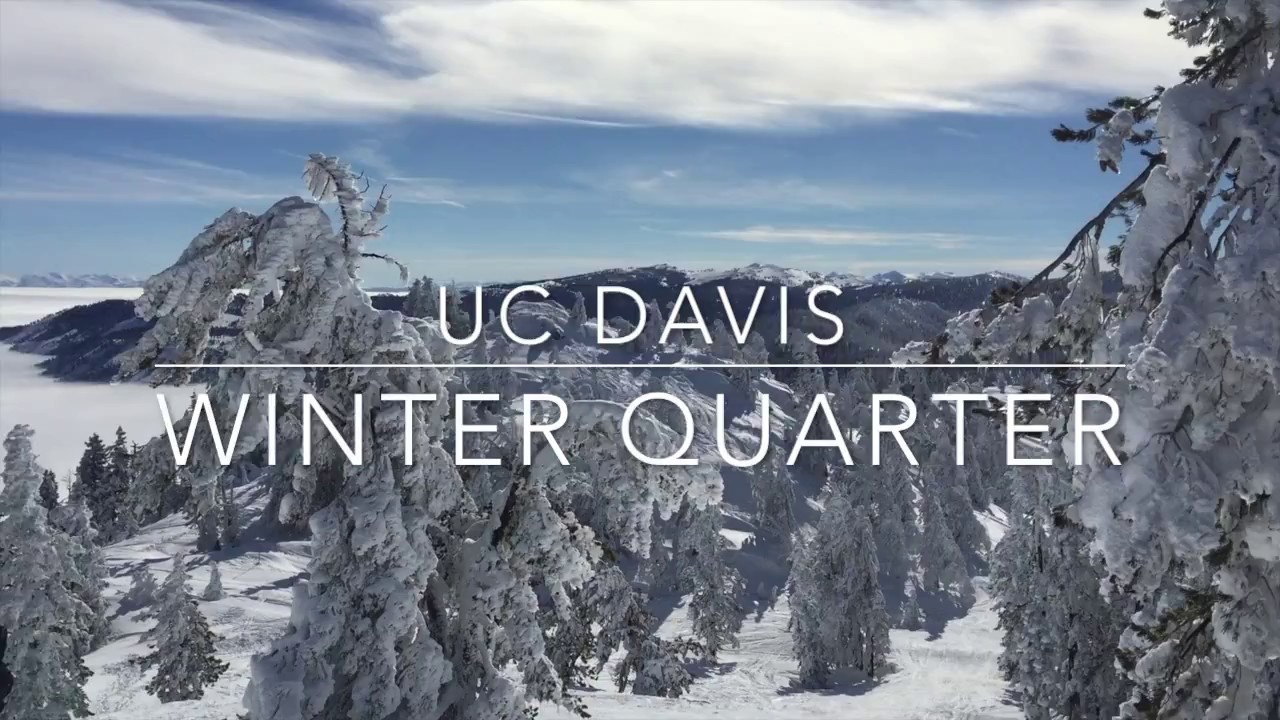 Winter Quarter UCD YouTube