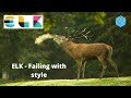 Failing ELK Style - ELK Stack, Elastic Search, Elastic Stack