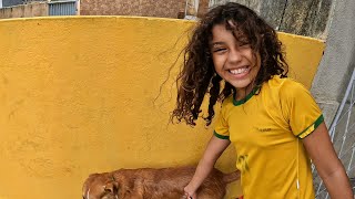 CACHORRO NO BANHO- DOG IN THE BATH