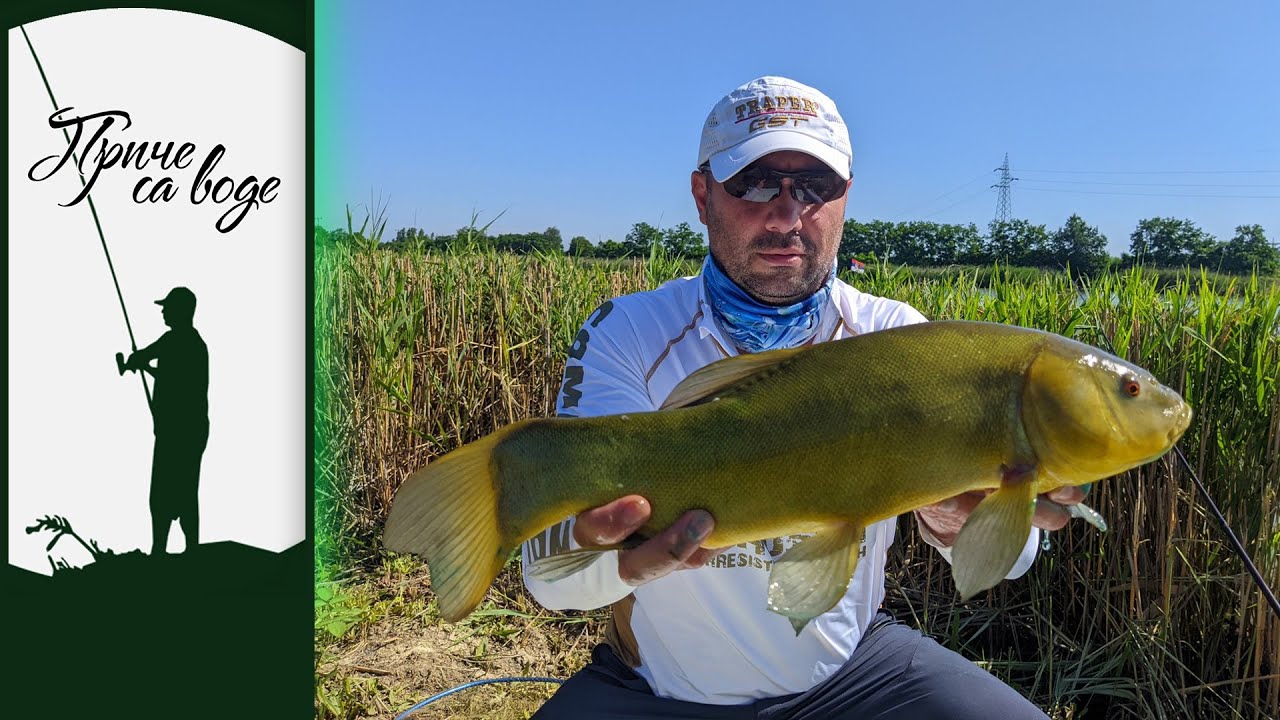 Priče sa vode ep. 201 08.08.2023. Zlatni linjaci, jezero Ciglana, Temerin