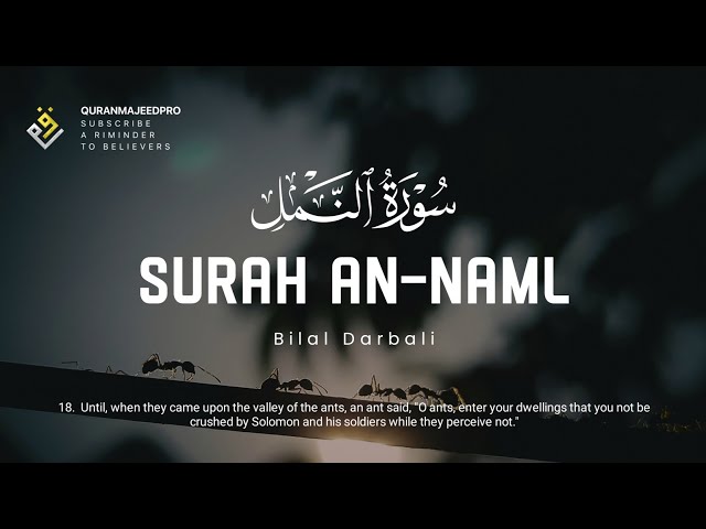 ❤😞 Bilal Darbali (بلال دربالي) | Surah An-Naml (سوره النمل) 😞❤ class=