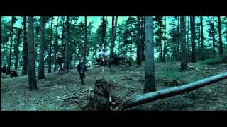 Harry Potter E As Relíquias Da Morte - 