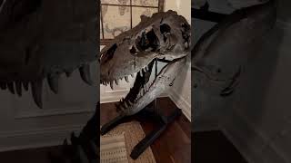 Life-sized 3D Printed TRex Skull!!!