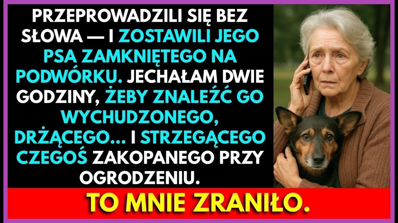 Mój Syn Zostawił Psa, Gdy Się Przeprowadzili—To, Co Znalazłam Dwie Godziny Później, Złamało Mi Serce