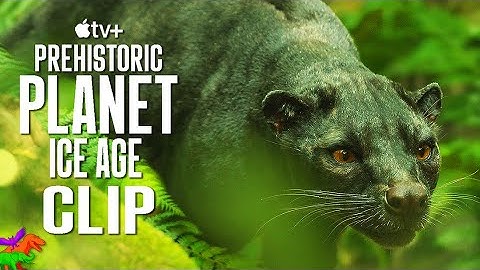 Giant Fossa Hunts Elephant Bird Chick | Prehistoric Planet: Ice Age | OFFICIAL CLIP