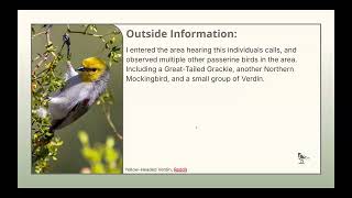 Bioflix Animal Behavior Project