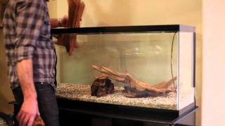 55 Gallon Aquarium Makeover