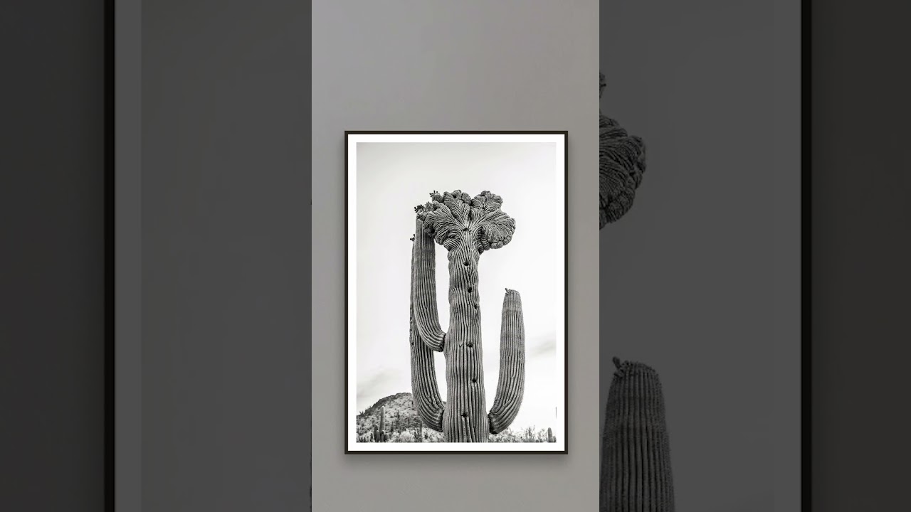 💫 Enjoy the latest virtual exhibition curated by Ken Strieby Jr on Discover ArtPlacer.