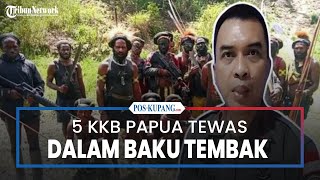 5 KKB Papua Tewas dalam Baku Tembak dengan TNI-Polri di Intan Jaya