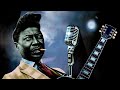 Мадди Уотерс (Muddy Waters) - Отец чикагского блюза