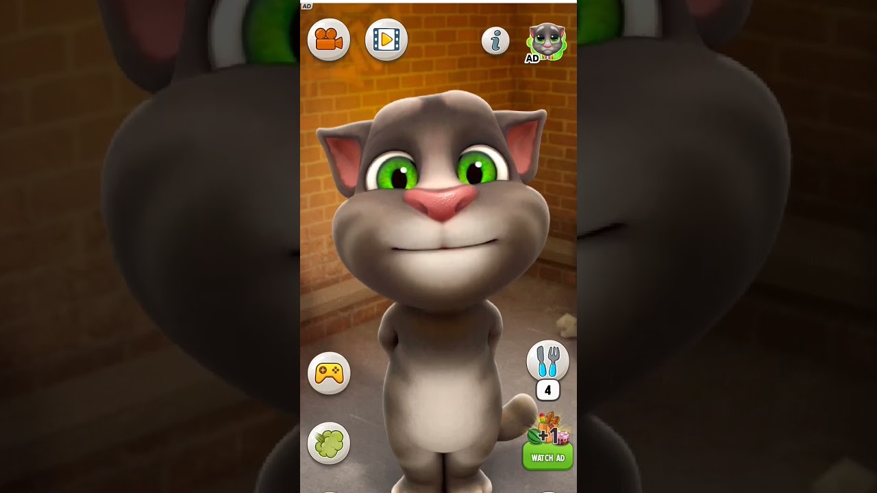 chun chun chidiya 🦜🦜🦜🦜 