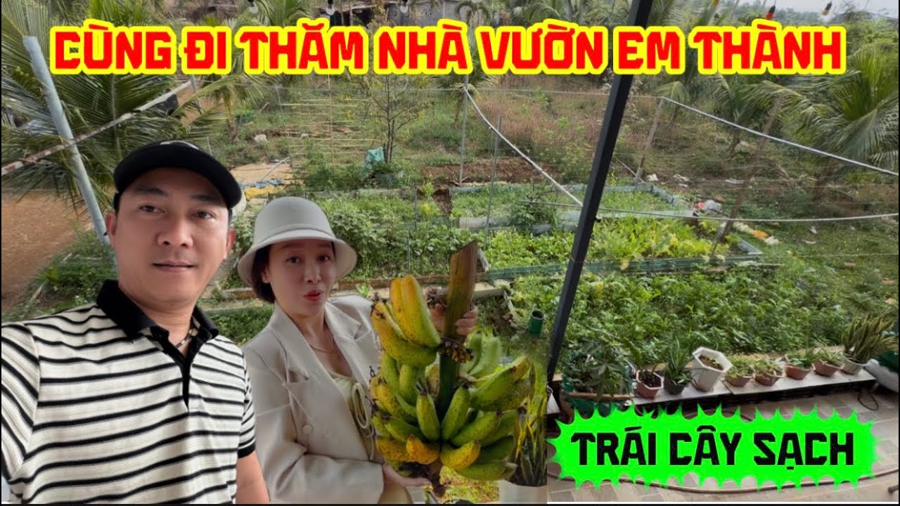 Давайте посетим сад Тханя, где выращивают свежие фрукты и овощи #thanhphangialai #семья #развлече...