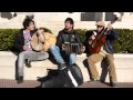 Corazon de lechiguana - Agayudos en los pagos de Laprida