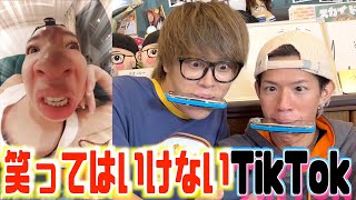 【真顔】ハーモニカを咥えて絶対に笑ってはいけないTikTokをしてみたｗｗｗｗｗｗｗｗ