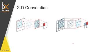 Famous Convolutional Neural Network | Lecture 8 | Deep Learning Net Worth