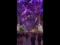 Freemont street experience