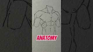 Cirratus Muscles by Jmarron ✅ #shorts #drawing #anatomy #art #drawingstyles #sketch #manga