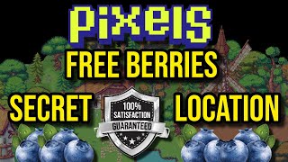 PIXELS: Free BERRY in PIXELS Game LOCATION || MAKE MONEY STUDENTS