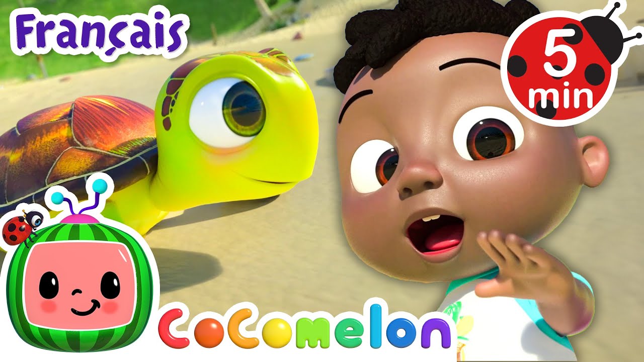 Les animaux de la plage | Cocomelon | Chanson + Comptines du Monde / Vidéos Éducatives