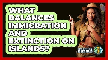What Balances Immigration and Extinction on Islands?