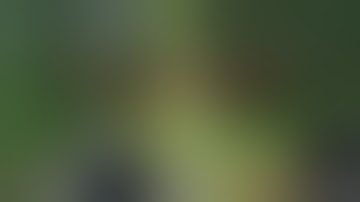 Grow Patio Update July 11, 2019 Growing Marijuana for Fun & Relaxation