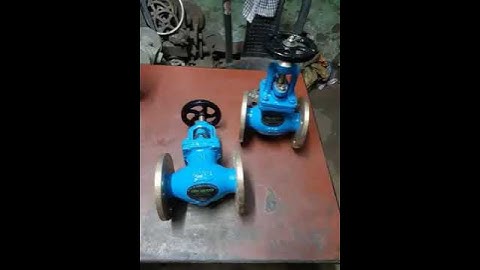 GLOBE VALVE (SDSL/SDNR) IN INDIA. #short #youtubeshorts