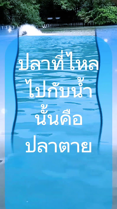 #ชีวิตต้องไปต่อ#ไม่เป็นปลาตายไหลไปกับน้ำ