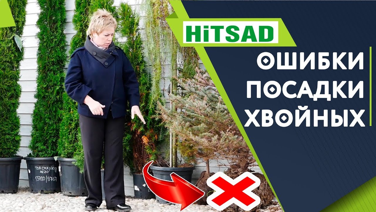 Смотреть видео