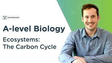 Ecosystems: The Carbon Cycle | A-level Biology | OCR, AQA, Edexcel