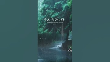 #chorts #The_Quran احترم القرآن الكريم فهو شفيع لك يوم القيامة 🙏🤍