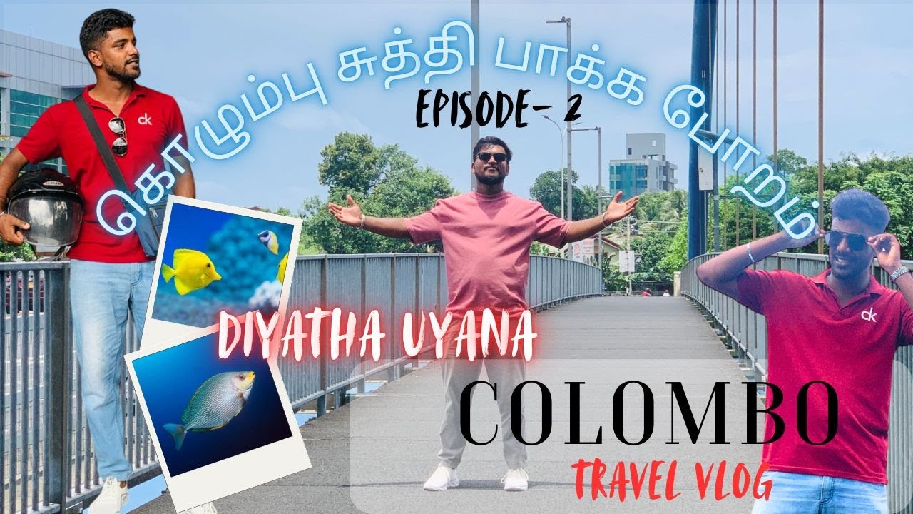 Diyatha Uyana Park | Colombo | மீனுன்னு நினைச்சி தவளை குஞ்சை வளர்த்தோம்.